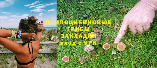 дмт Медногорск