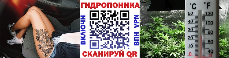 Купить где  Судогда  МАРИХУАНА семена 